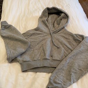 Cropped Aritzia Hoodie